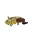 LEVITATING