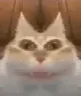 mrm emote