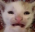 we
