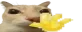 otaghi