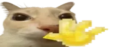 otaghi emote