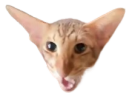 dristan emote