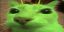 Otaglorp