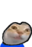 ermgi emote