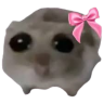 bitti emote