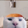 Apollobotomy emote