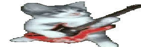 WideGuitarCat emote