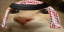 otagHabibi