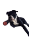 vargBoofer emote
