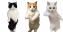 CatTime