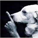 shh