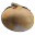 ONION