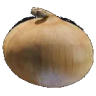 onion emote
