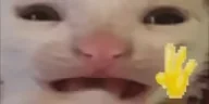 byee emote
