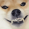 XDoge emote