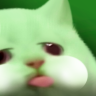 Blarf emote