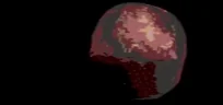 !ruleta emote