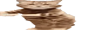 widetime4 emote