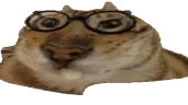 LICKAA emote