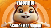 HamsterKombat emote