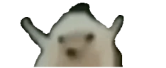odapls emote