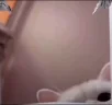 punch emote