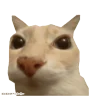 otagging emote