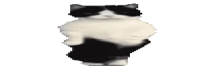 widetime3 emote