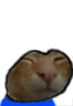 buhgi emote
