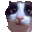 Umm