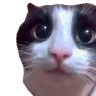 umm emote