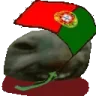 xddportugalflag emote