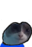 gulpi emote