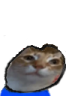 ormgi emote