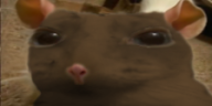 chuso emote