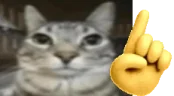 ErmIDontThinkSo emote