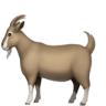 GOAT emote
