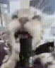 Streaming emote
