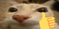 otagOK emote