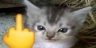 Frick emote