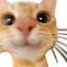 :333 emote