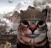 VietnamCat emote