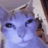 juh emote
