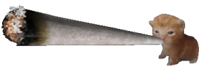 zazabert emote