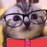 wowlore emote