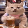 CatBeer emote
