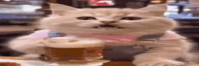 WideCatBeer emote