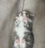 eepy emote