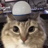ALERT emote