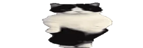 widetime3 emote